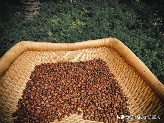 半岛·综合体育(中国)官方网站全球最贵的十种咖啡(图3)