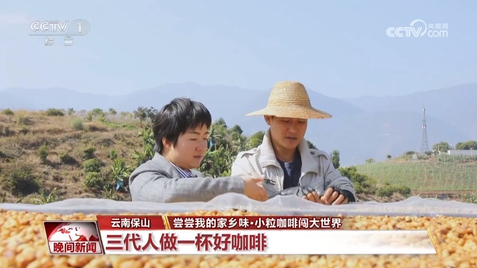 半岛·综合体育入口【尝尝我的家乡味】云南：小粒咖啡闯大世界(图4)