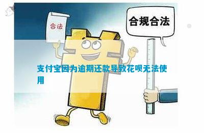 半岛·综合体育入口支付宝因为逾期还款引起信用卡无法采用(图3)